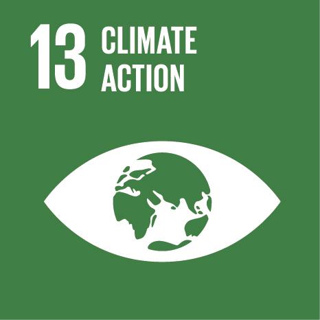 SDG 13 Icon - Climate Action