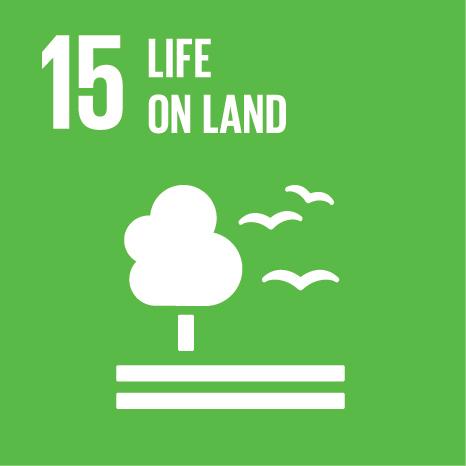 SDG 15 Icon - Life on Land